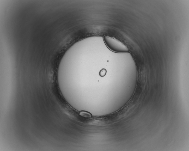 X0000111420750200908031304