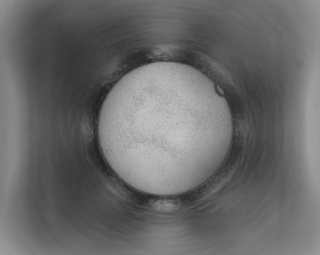 X0000111420751200908031304