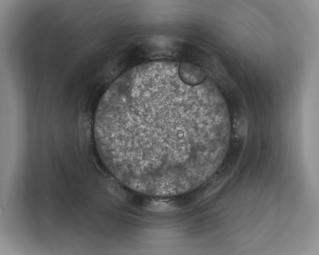 X0000111420753200908031304