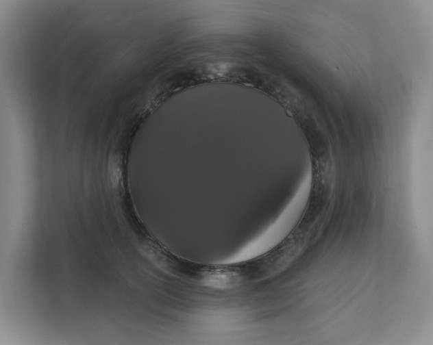 X0000111420754200908031304