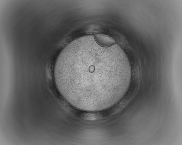 X0000111420755200908031304