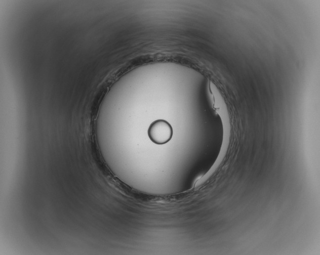 X0000111420756200908031305
