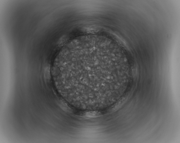 X0000111420757200908031305