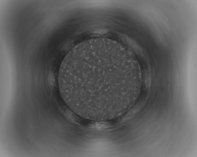 X0000111420758200908031305