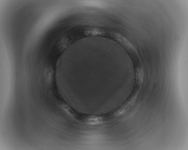 X0000111420760200908031305