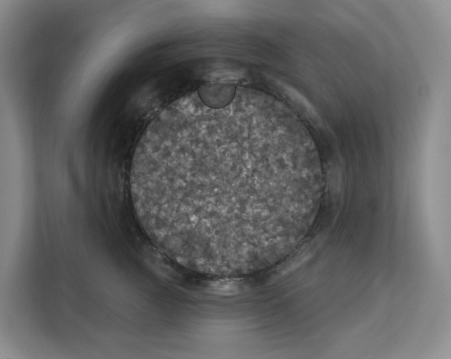 X0000111420761200908031305