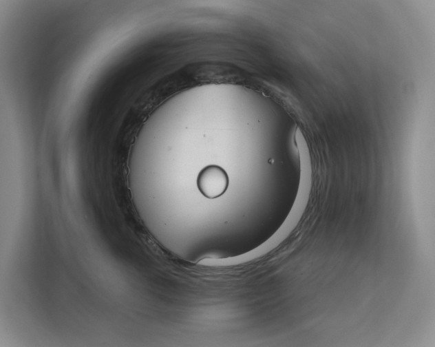X0000111420762200908031305