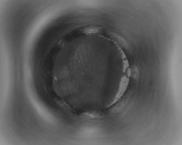 X0000111420763200908031305