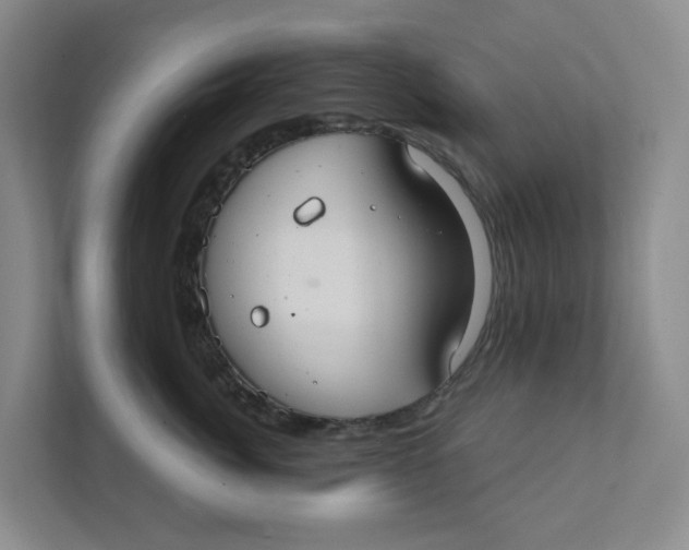 X0000111420764200908031305