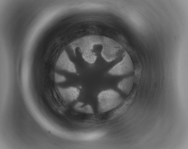 X0000111420765200908031305