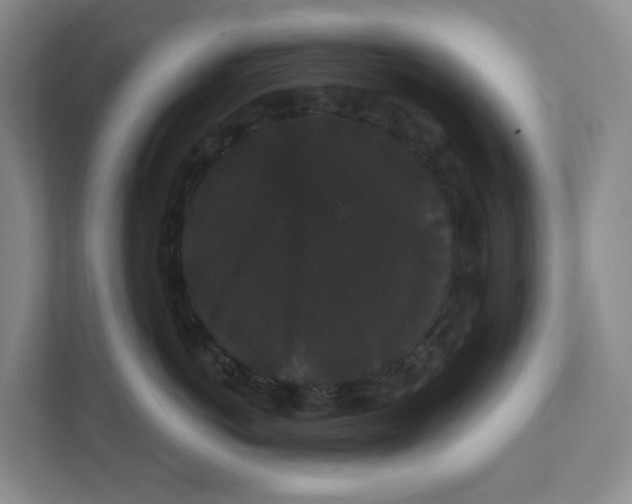 X0000111420766200908031305