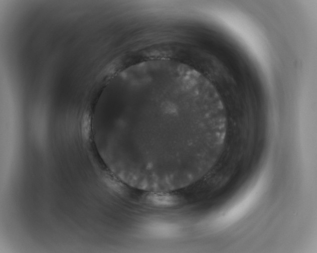 X0000111420767200908031305