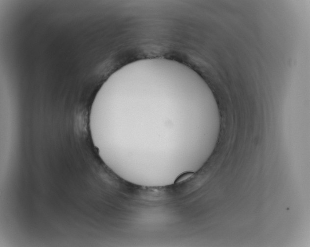 X0000111420768200908031305