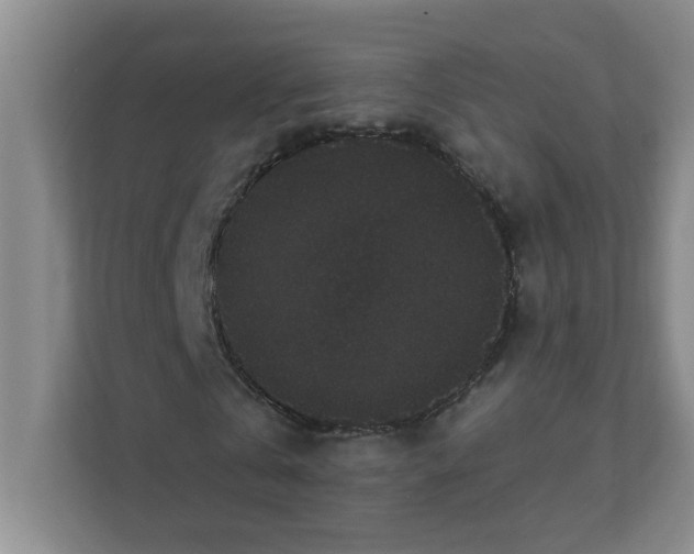 X0000111420769200908031304