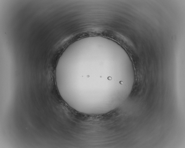 X0000111420773200908031304