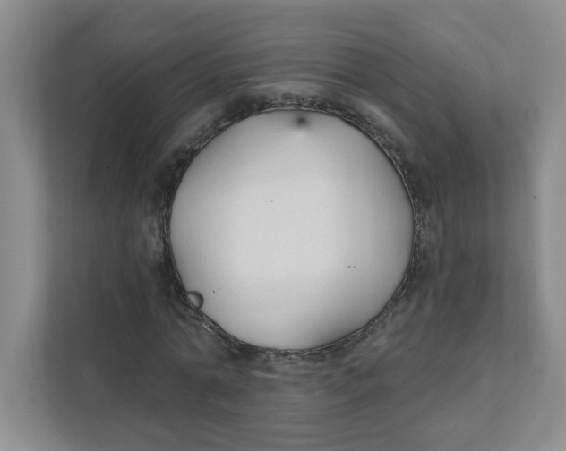 X0000111420774200908031304