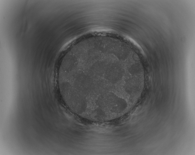 X0000111420775200908031304