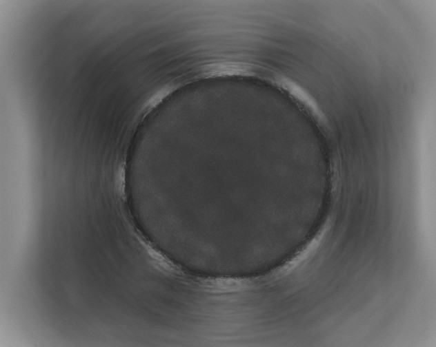 X0000111420777200908031304