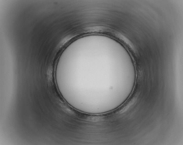 X0000111420778200908031304