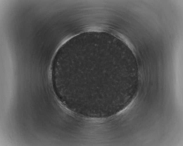 X0000111420779200908031304