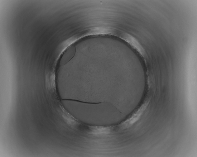 X0000111420781200908031304