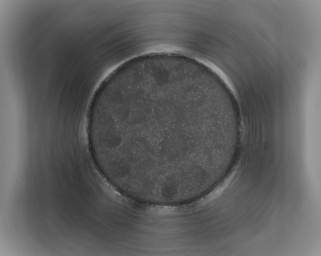 X0000111420783200908031304