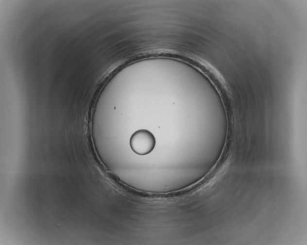 X0000111420785200908031304