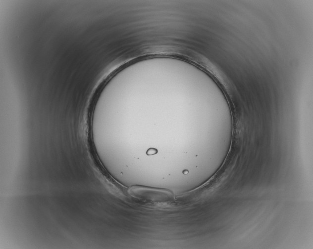 X0000111420787200908031304