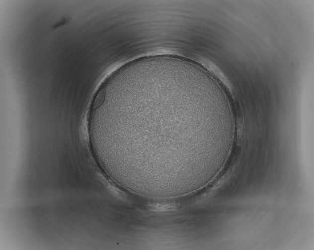 X0000111420789200908031304