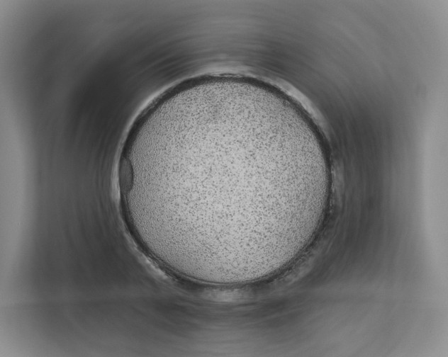 X0000111420791200908031304