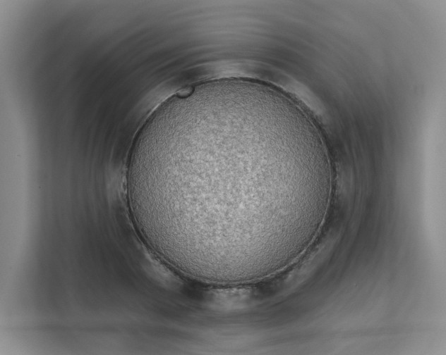 X0000111420793200908031304