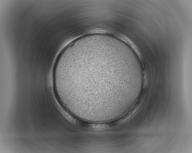 X0000111420795200908031304