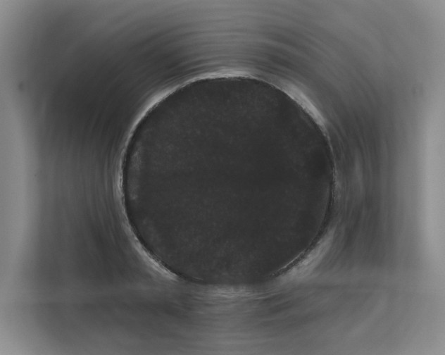 X0000111420797200908031304