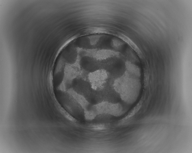 X0000111420798200908031304