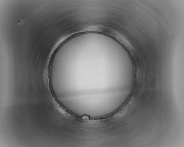 X0000111420800200908031304