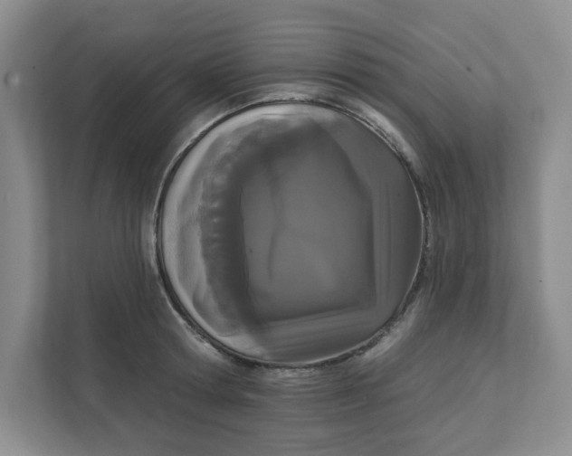 X0000111420802200908031304