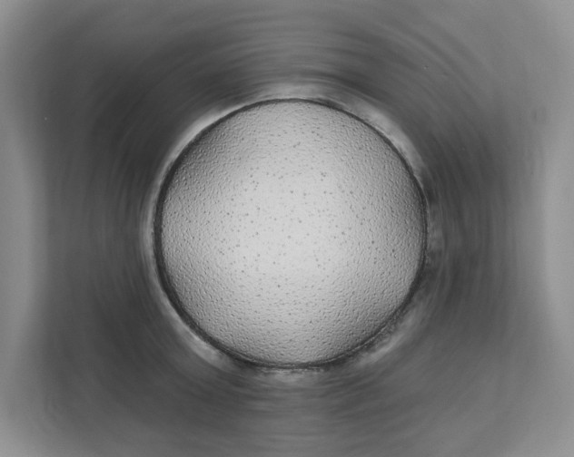 X0000111420803200908031304