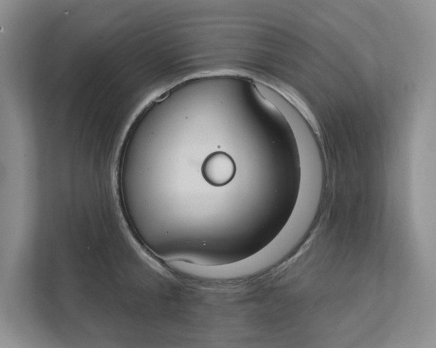 X0000111420805200908031304