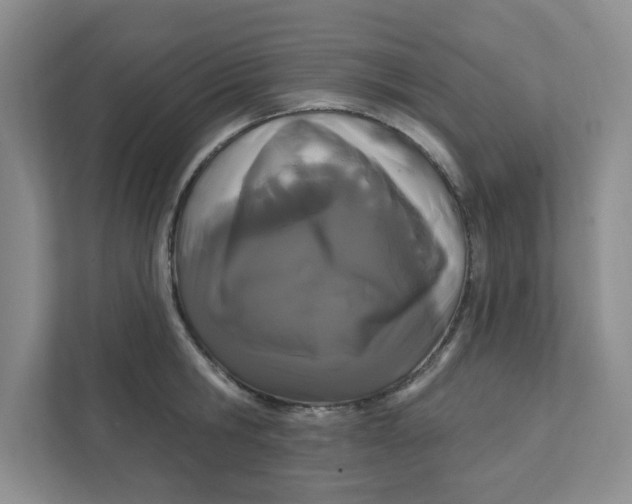 X0000111420806200908031304