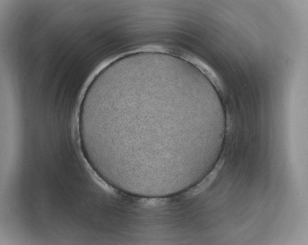 X0000111420808200908031304