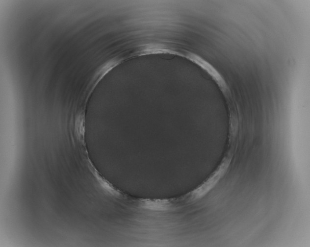 X0000111420809200908031304