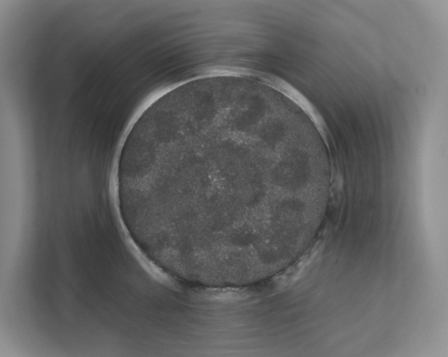 X0000111420811200908031303