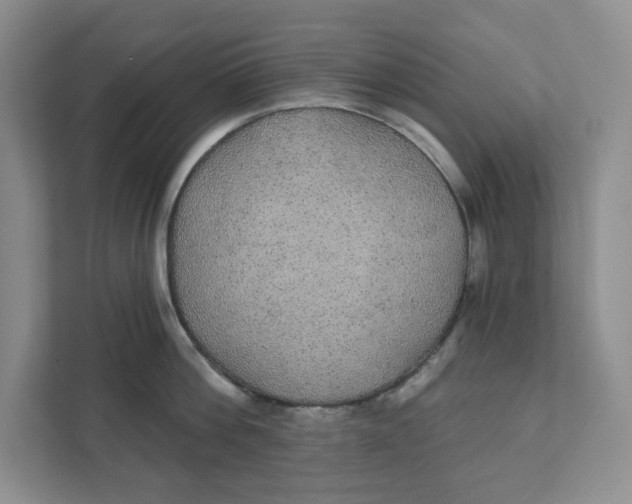 X0000111420812200908031303