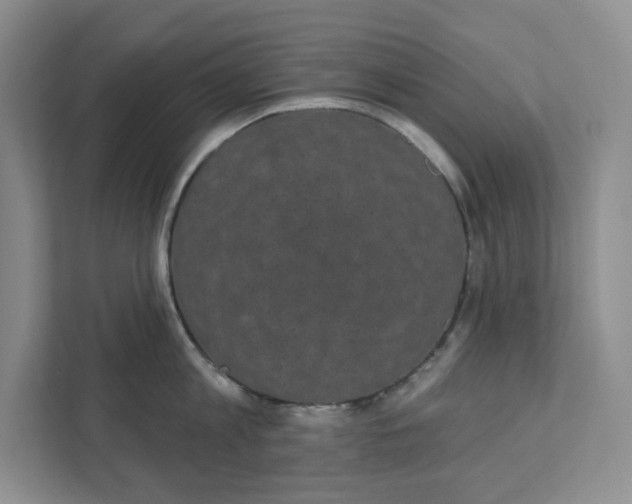 X0000111420813200908031303