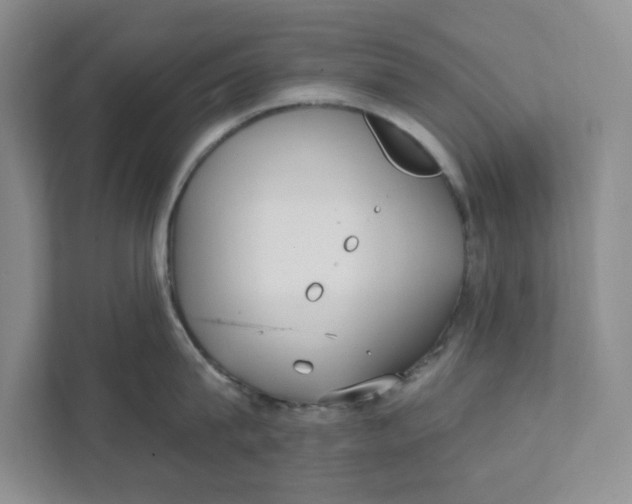 X0000111420815200908031303