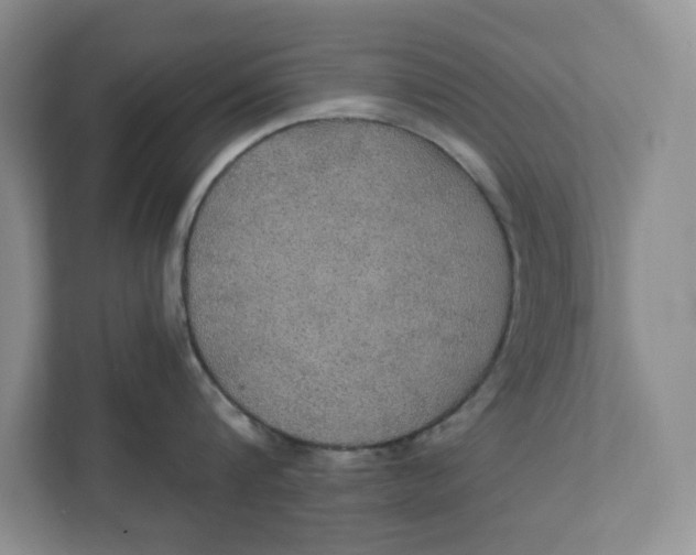 X0000111420816200908031303