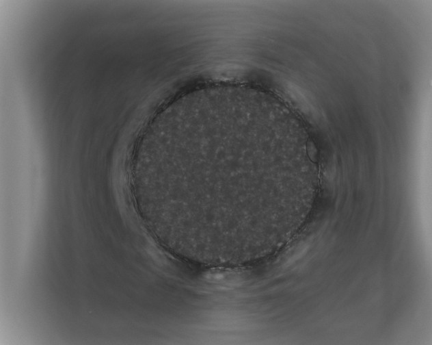 X0000111420817200908031303