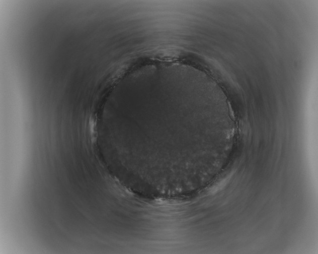 X0000111420818200908031303