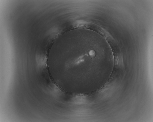 X0000111420820200908031303