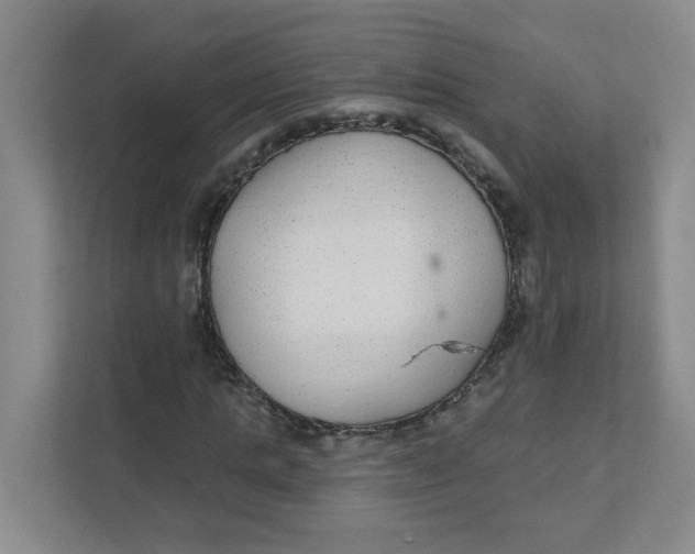 X0000111420821200908031303